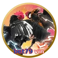 bet79 vin